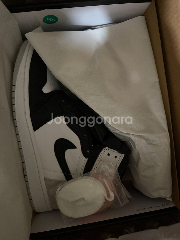 Jordan 1 Retro High OG Bleache--0