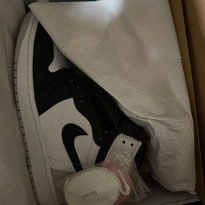 Jordan 1 Retro High OG Bleache