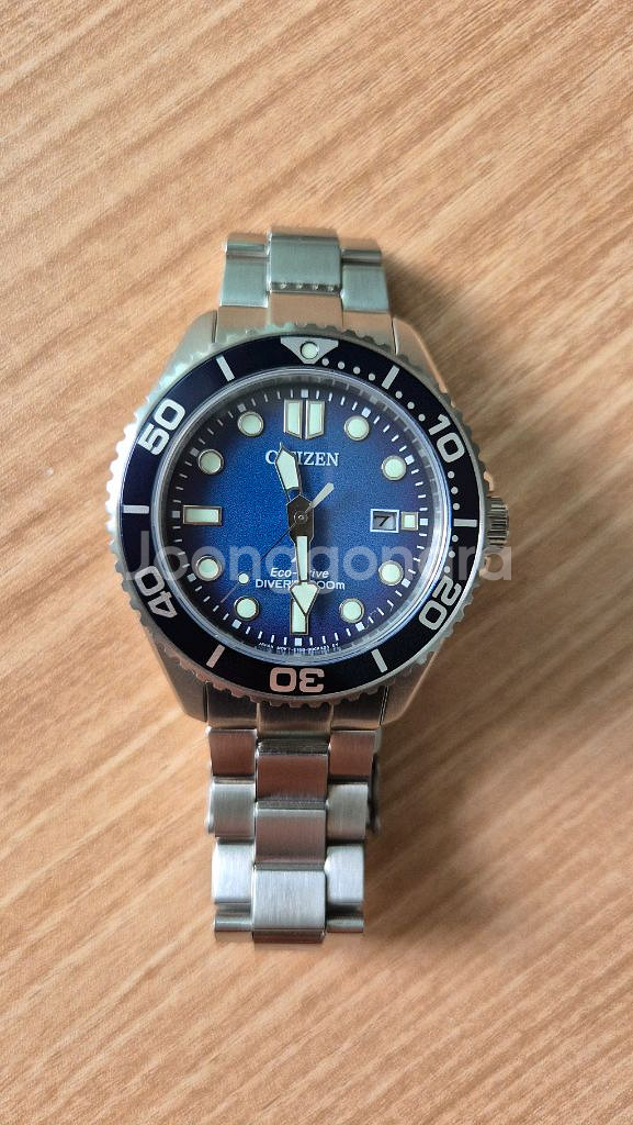 시티즌 프로마스터 다이버 BN0260-54L 청판--0