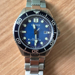 시티즌 프로마스터 다이버 BN0260-54L 청판