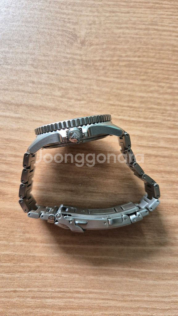 시티즌 프로마스터 다이버 BN0260-54L 청판--2