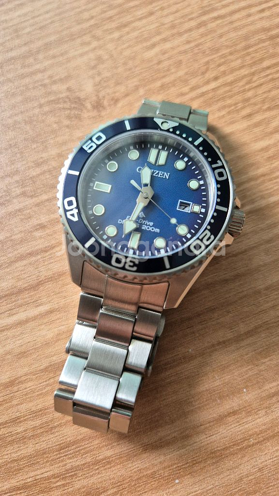 시티즌 프로마스터 다이버 BN0260-54L 청판--5