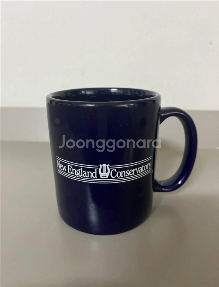 뉴잉글랜드 콘서바토리 머그 머그컵 머그잔--0