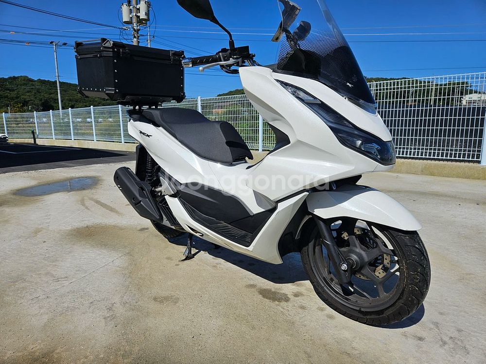 혼다/pcx125/2024년식/7@@@/330만원신차급--3