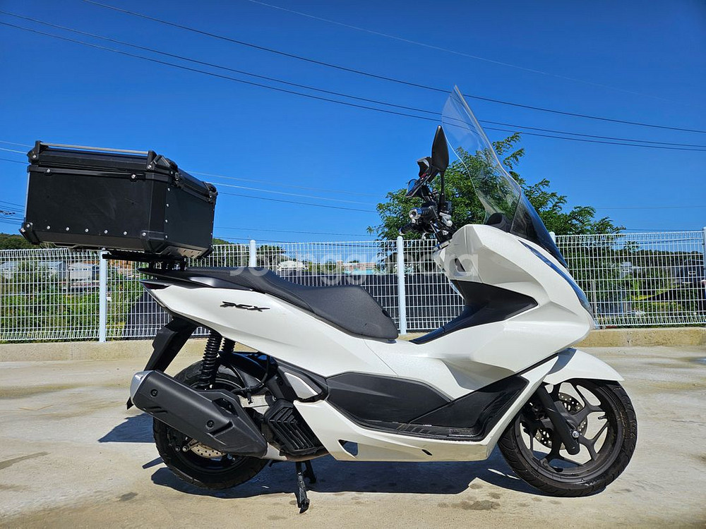 혼다/pcx125/2024년식/7@@@/330만원신차급--1