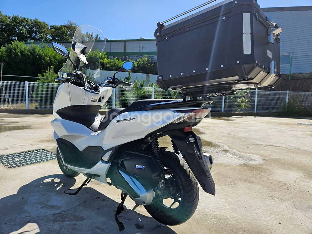 혼다/pcx125/2024년식/7@@@/330만원신차급--6