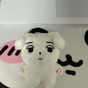 에스파 윈터 직직이 인형