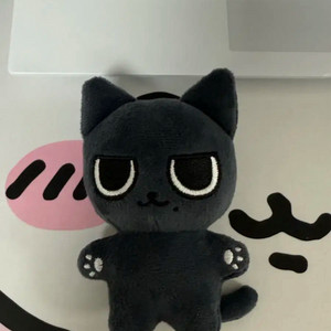 에스파 카리나 인형 직냥이