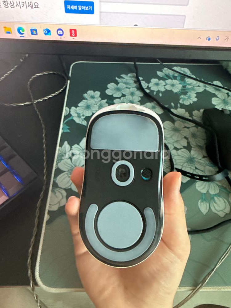 지슈라1--1
