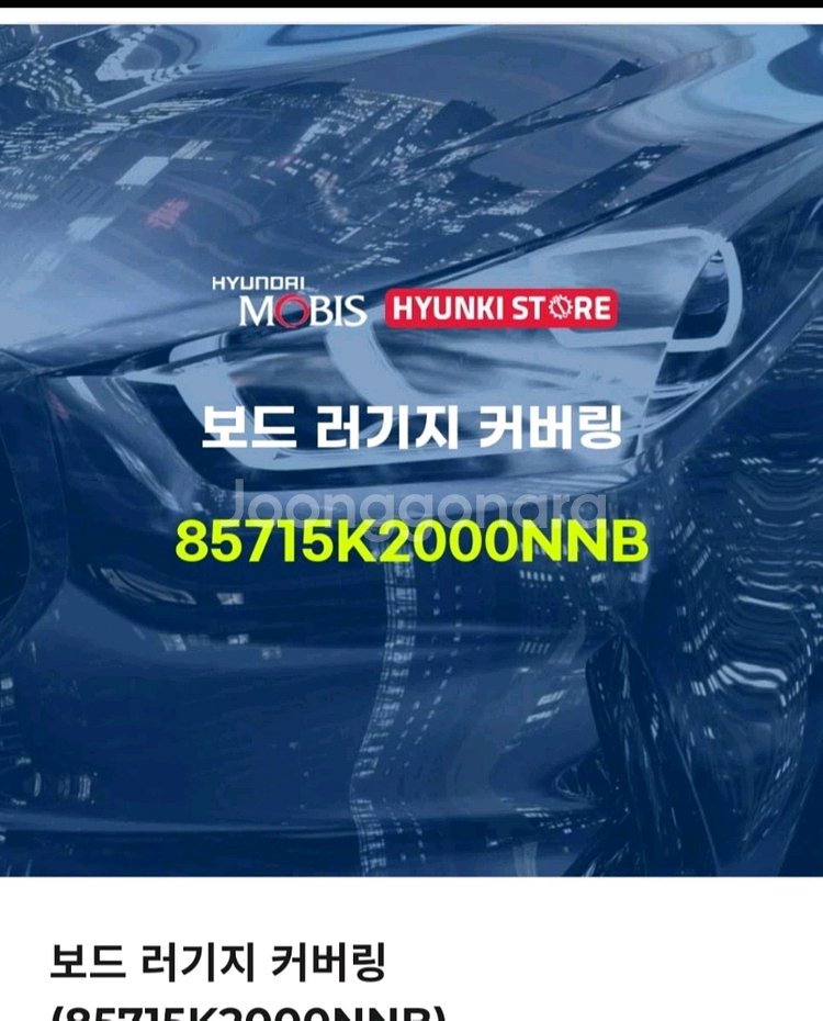 베뉴 보드 러기지--0