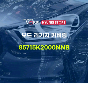베뉴 보드 러기지