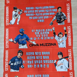 한화이글스 선수 슬로건