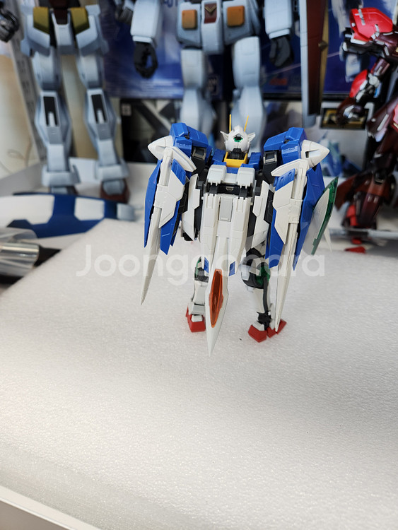 RG 더블오라이저 건담--2
