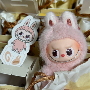 팝마트 라부부 핀포러브 시리즈