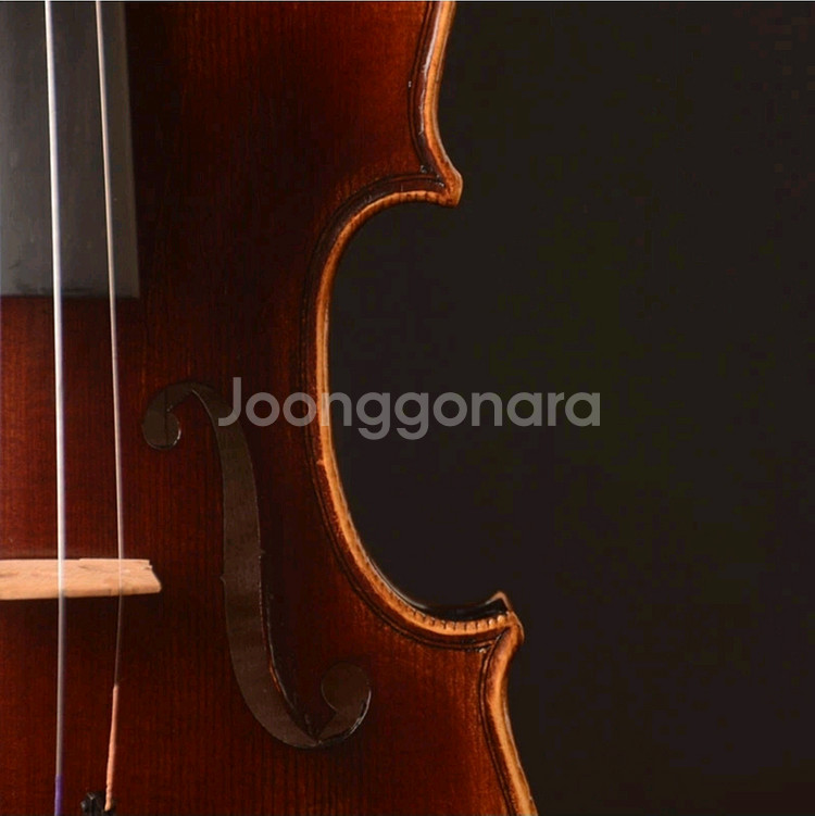 YITA T20+ 바이올린 (4/4) Strd copy--1
