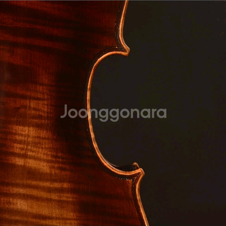 YITA T20+ 바이올린 (4/4) Strd copy--2