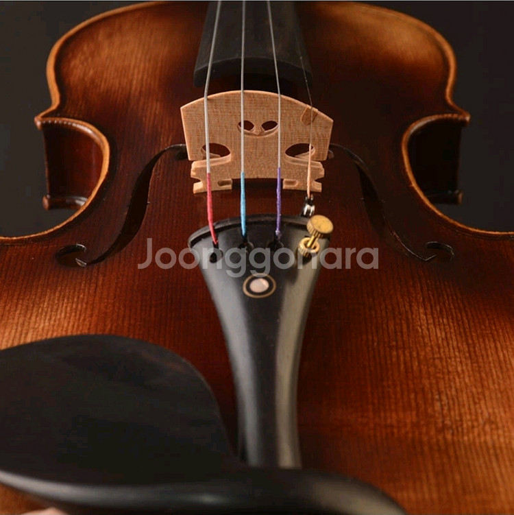 YITA T20+ 바이올린 (4/4) Strd copy--5
