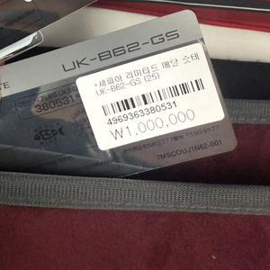 세피아리미티드 uk-b62-gs 한치 이카메탈 윤성