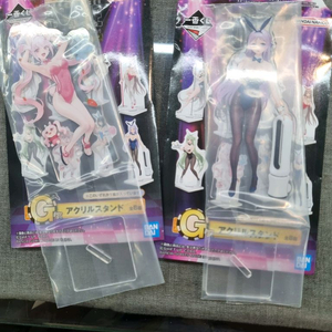 니케 제일복권 g상