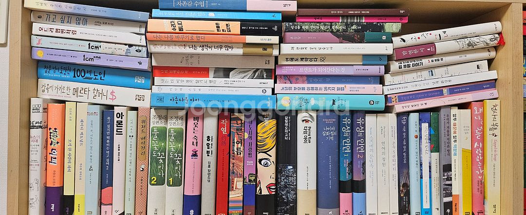 히가시노게이고등 추리소설 힐링소설--0