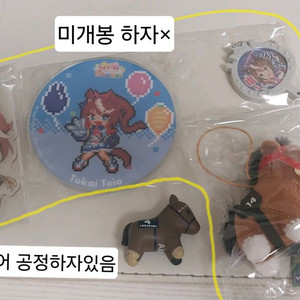 우마무스메 토카이 테이오 원본마 인형 피규어 아크릴