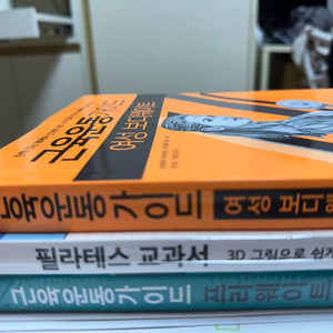 근육운동가이드 프리웨이트, 여성보디웨이트 등
