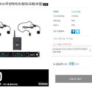 빅보스 2채널 핀 마이크