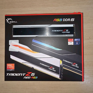 지스킬 CL26 600mhz 1.45v 64g ddr5