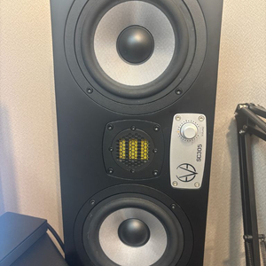 eve sc 305 팝니다 (1조)