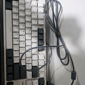ck01 tkl 콕스 텐키기스 (택포15000)
