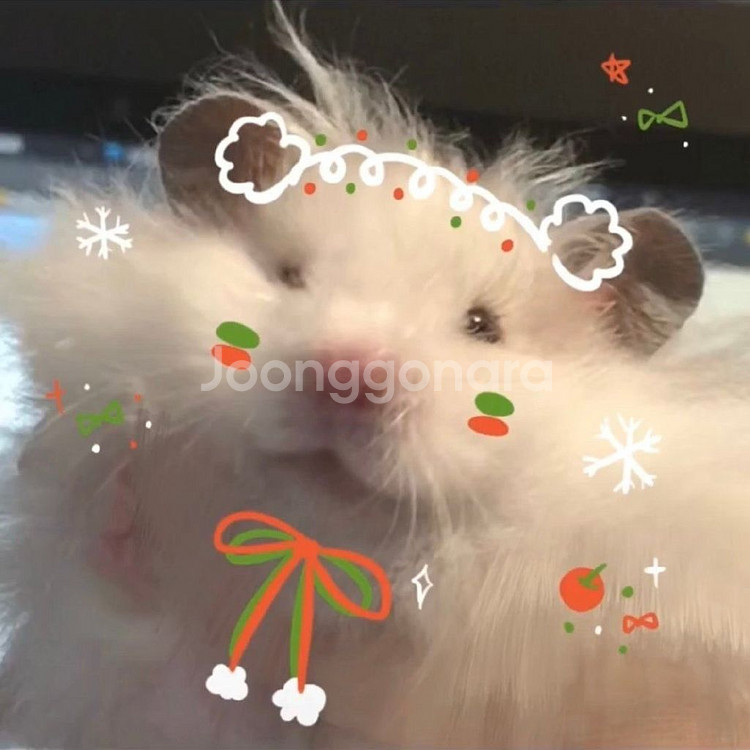 포켓몬스터 닌텐도ds 하트골드 구해봅니다ㅠ--0