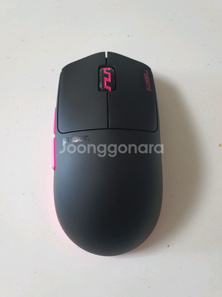 펄사 수산토 Pulsar Susanto-X--0