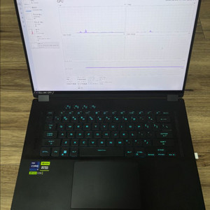 ROG FLOW X16 4060 램업글