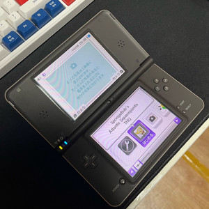 닌텐도 dsi ll 블랙 브라운