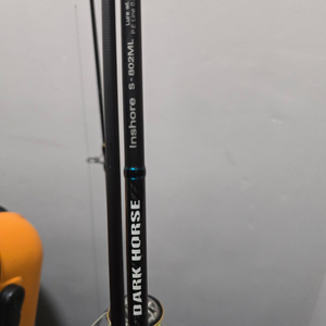 ns 다크호스 인쇼어 802ml 삽니다