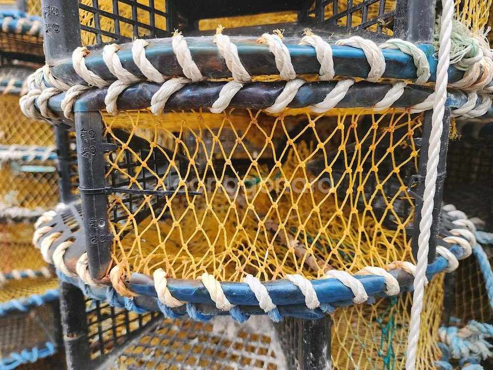 낙지통발 팝니다--0