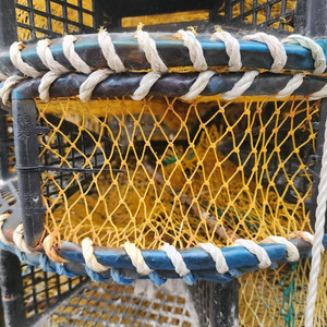 낙지통발 팝니다