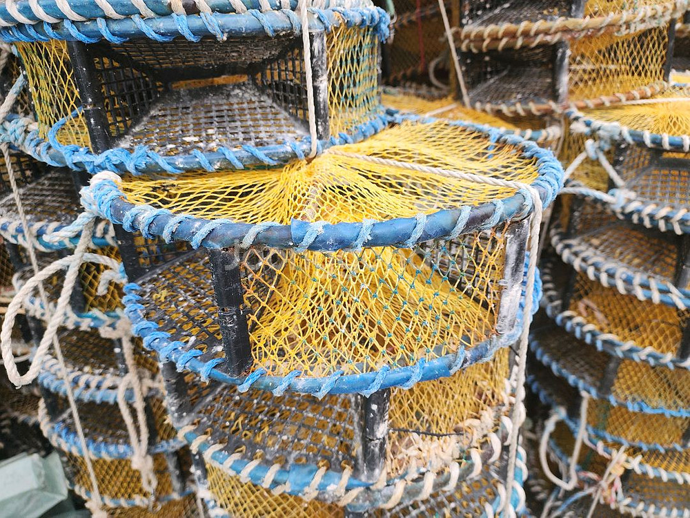 낙지통발 팝니다--1