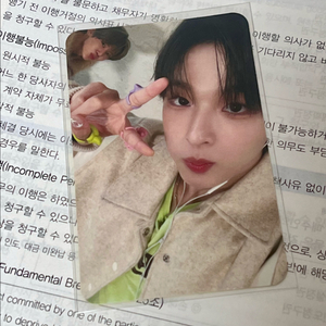 엔시티위시 all member버전 리쿠 포카 양도판매