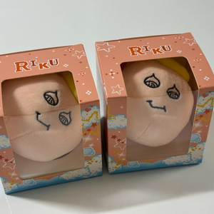 위시 마스코트 키링:리쿠 미개봉 새상품