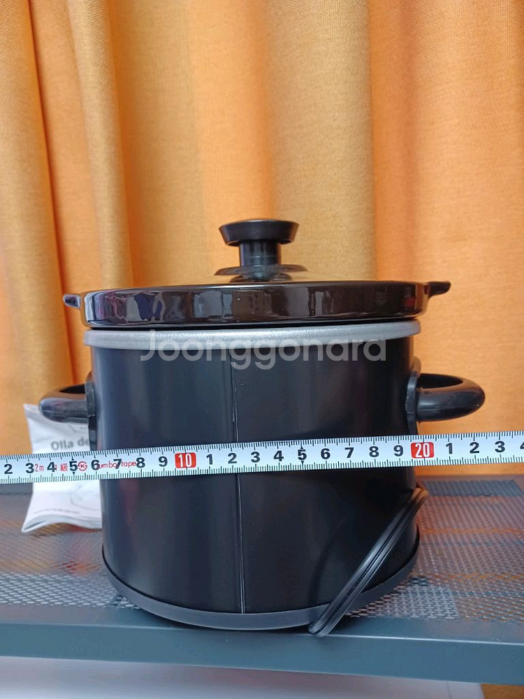 미니쿠커 110V--3