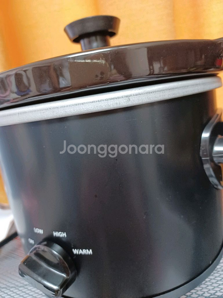 미니쿠커 110V--6