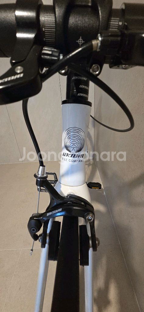 [픽시] 25년8월 구매 언노운 싱귤러리티2 25년형--3