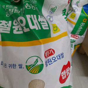햅쌀 철원오대쌀