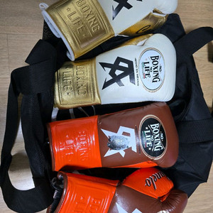 No boxing No life 노복노라 글러브 일괄