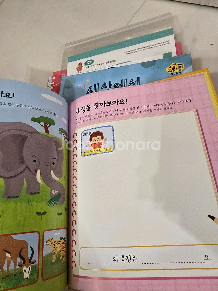 교원 조물조물 탐구놀이--8