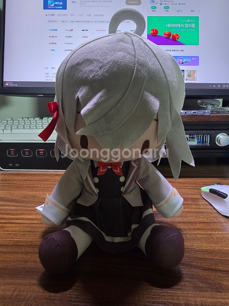 아랴양 인형 팝니다.--0