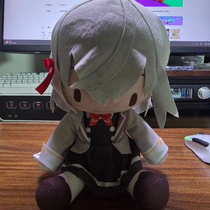 아랴양 인형 팝니다.