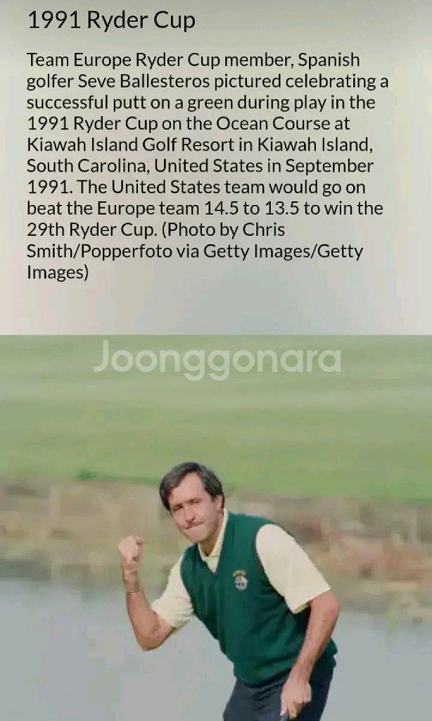 PLOP 황동퍼터 소장용 희귀 센터 양면 퍼터--7