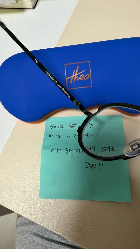 theo Echo 508 안경입니다. 이미지